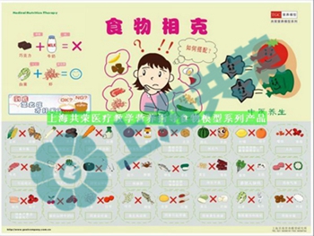 GTL-1006食物相克120-90 GTL-1006食物相克120-90